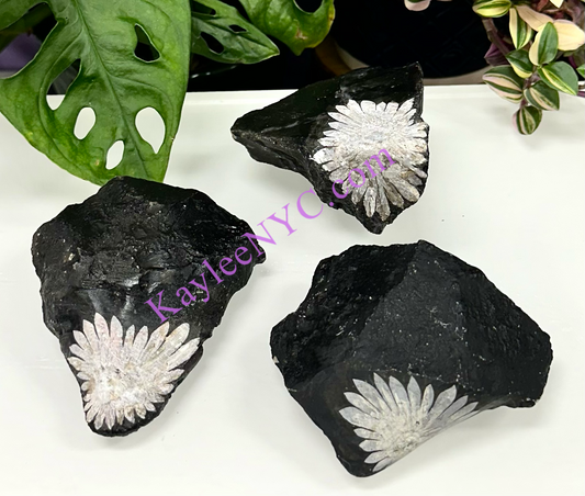 Wholesale Lot 3 PCs Natural Chrysanthemum Crystal