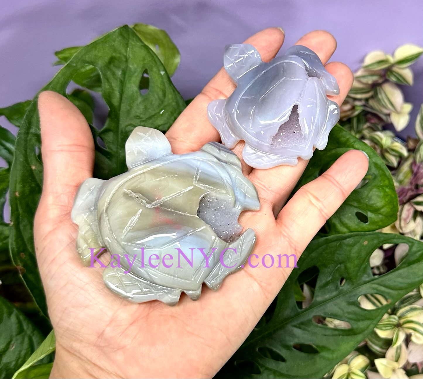 6 PCs Natural Druzy Agate Turtle