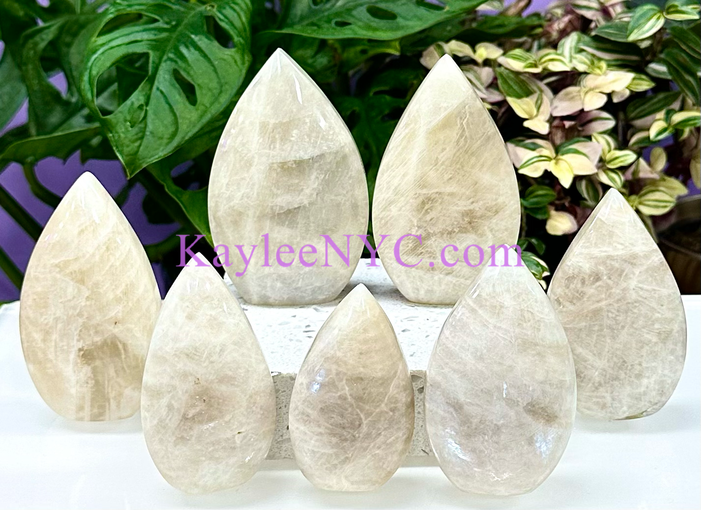 7 PCs Natural Moonstone Freeform