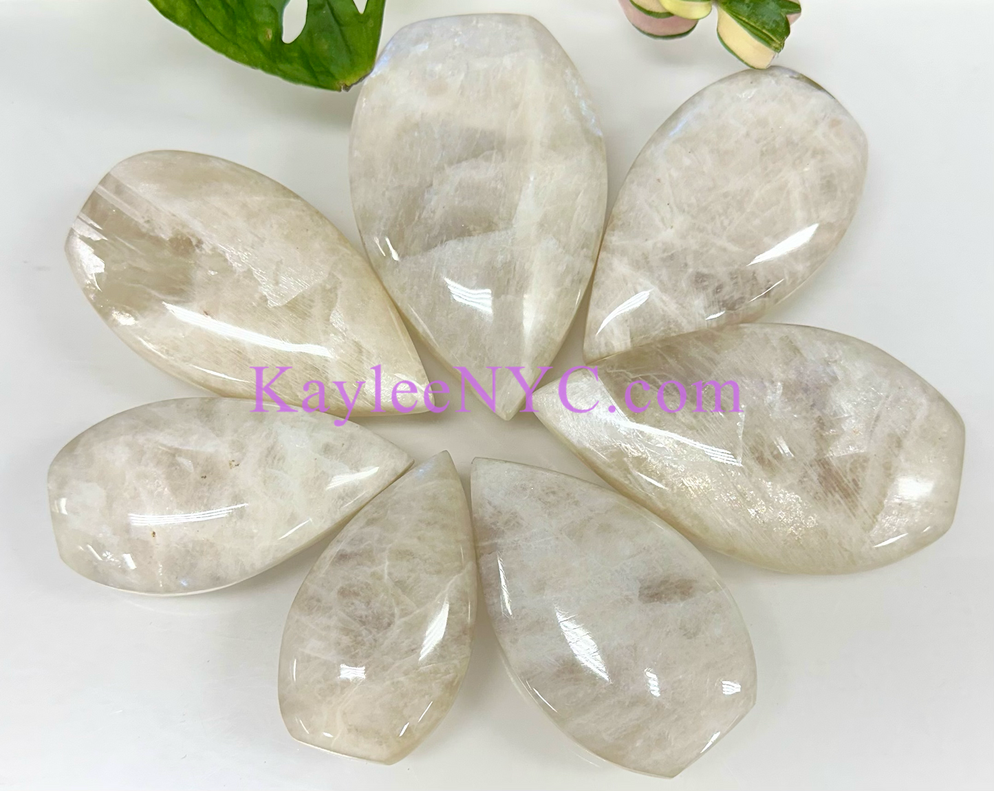 7 PCs Natural Moonstone Freeform