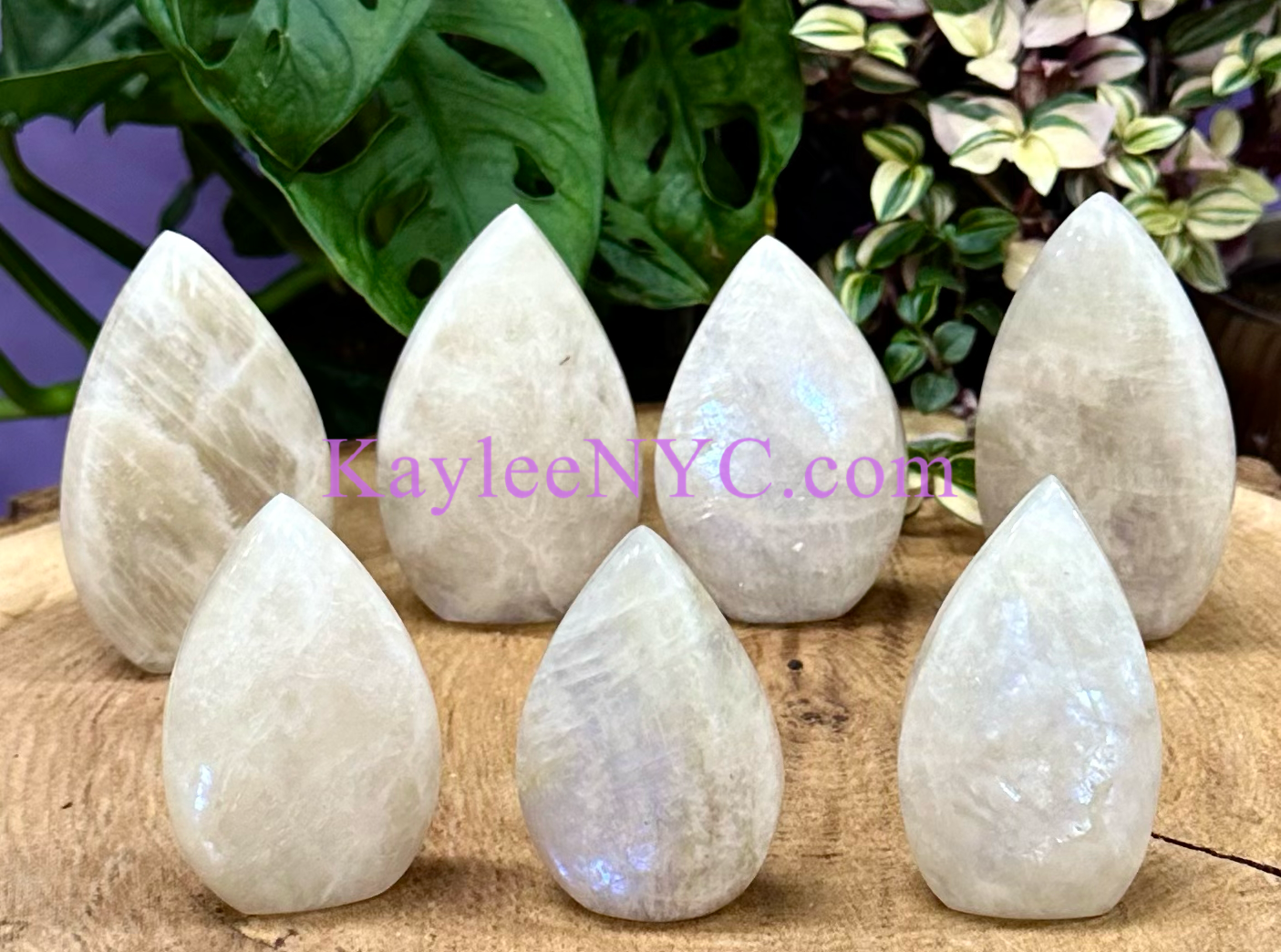 7 PCs Natural Moonstone Freeform