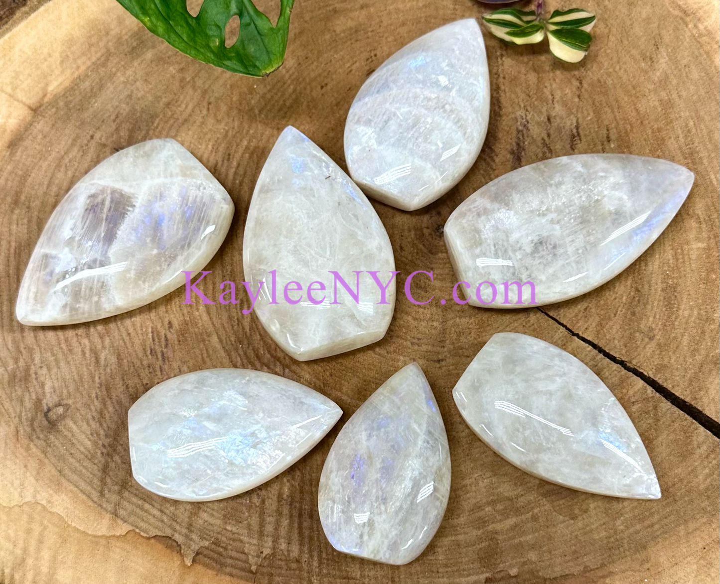 7 PCs Natural Moonstone Freeform