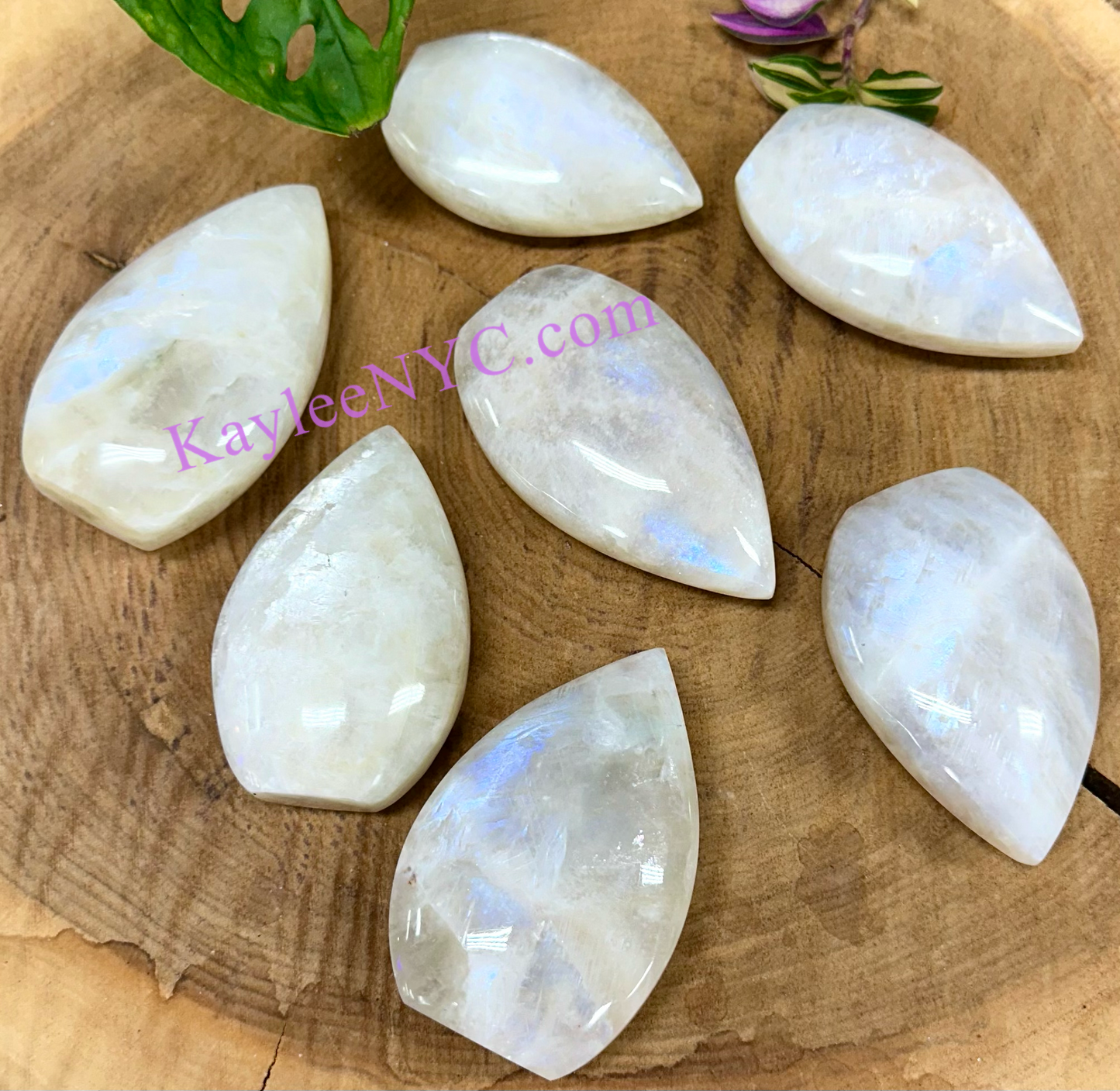 7 PCs Natural Moonstone Freeform