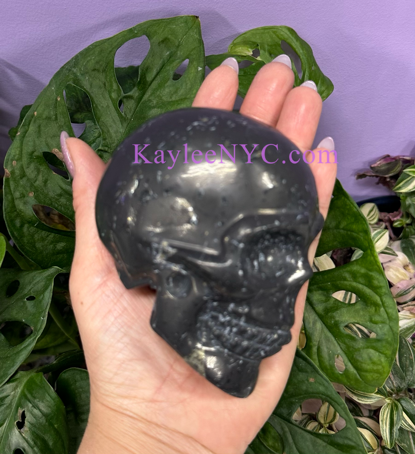 2 PCs Natural Shungite Crystal Skull