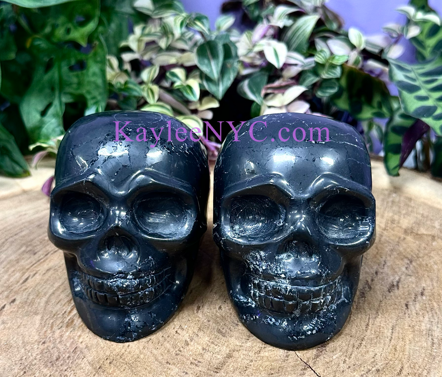 2 PCs Natural Shungite Crystal Skull