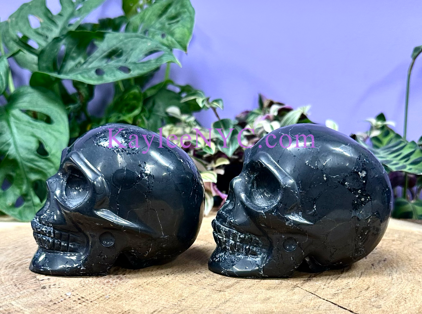 2 PCs Natural Shungite Crystal Skull