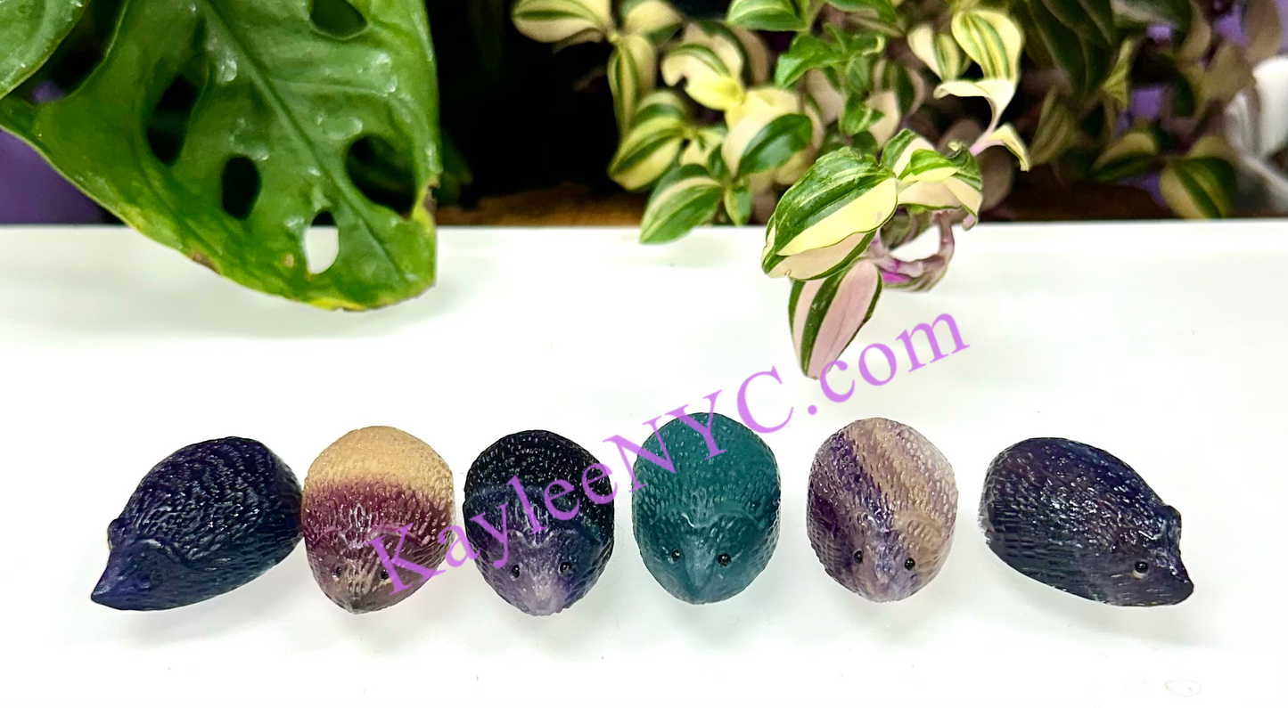 6 PCs 1.3” Natural Fluorite Hedgehogs Carving