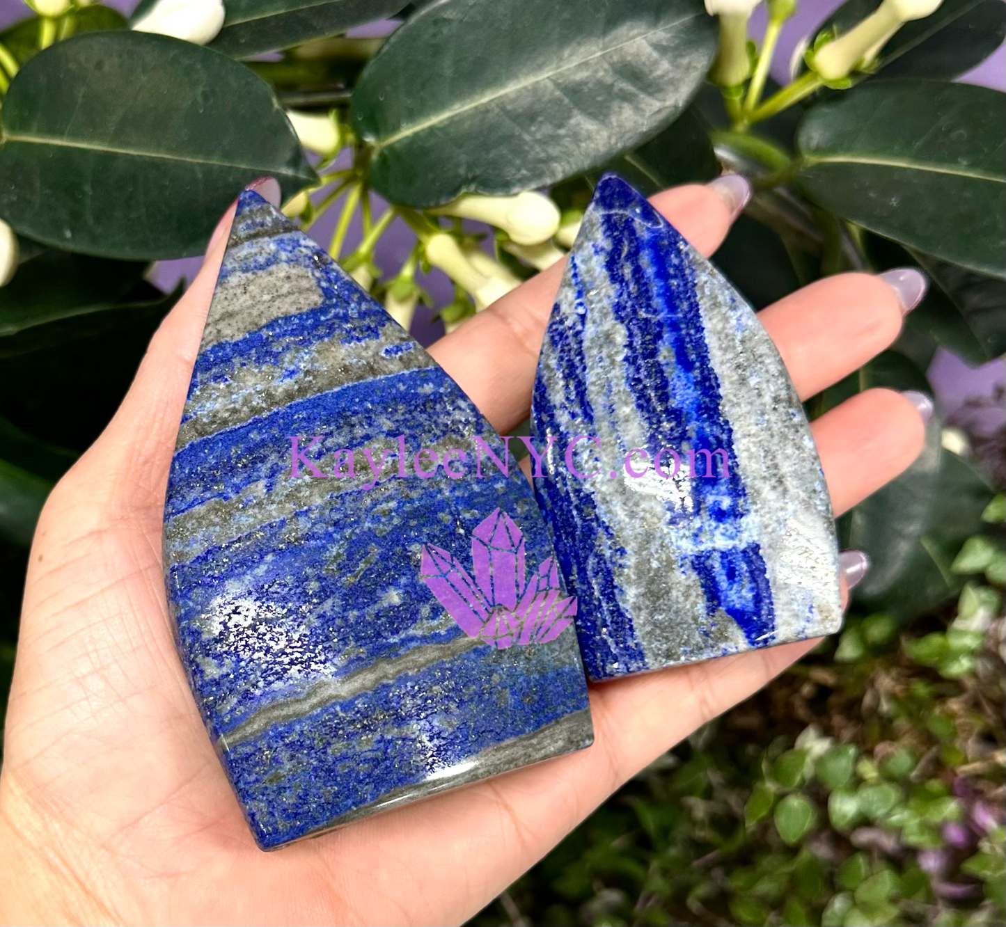 6 PCs Natural Lapis Lazuli Freeform