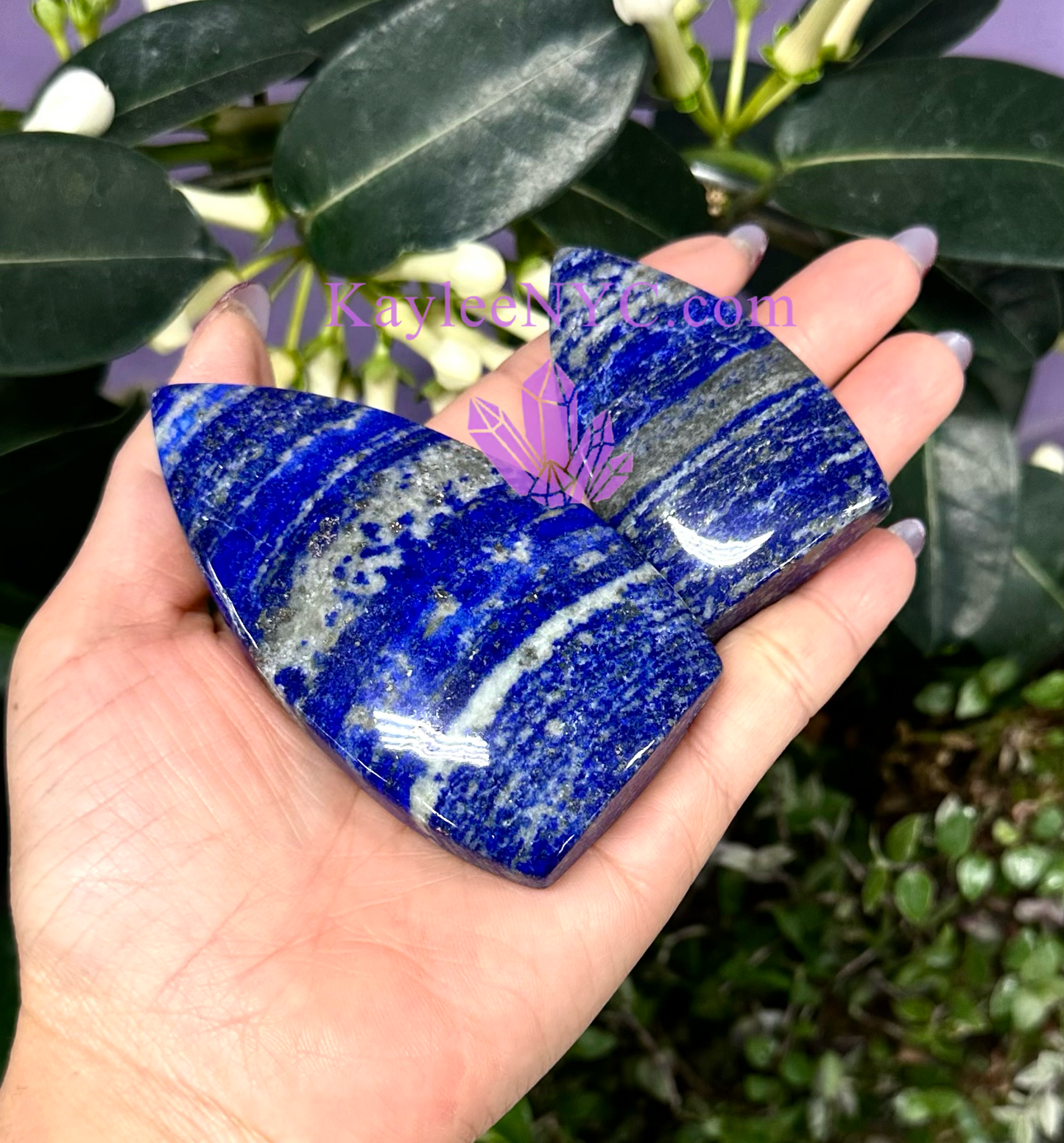 6 PCs Natural Lapis Lazuli Freeform