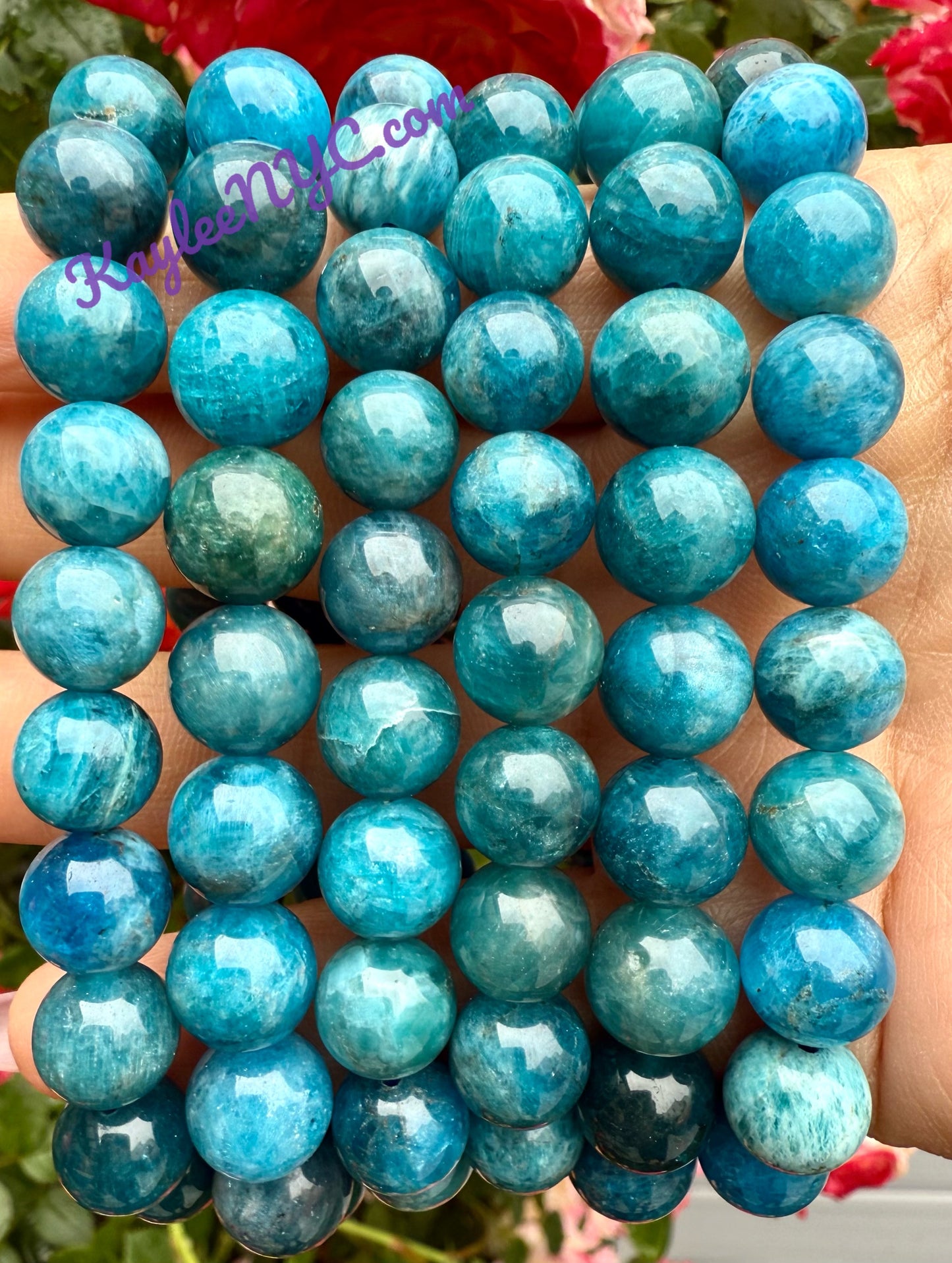Wholesale 6 Pcs Natural Apatite 10mm 7.5" Crystal Healing Stretch Bracelet
