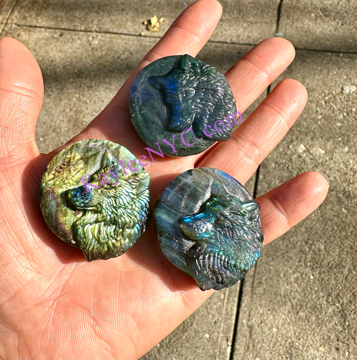 6 PCs Natural Labradorite Wolf