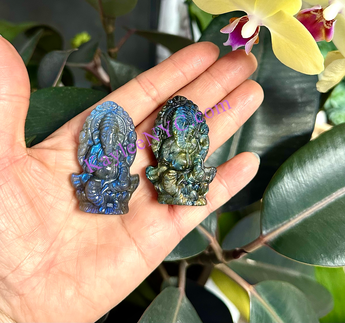 6 PCs Natural Labradorite Ganesha