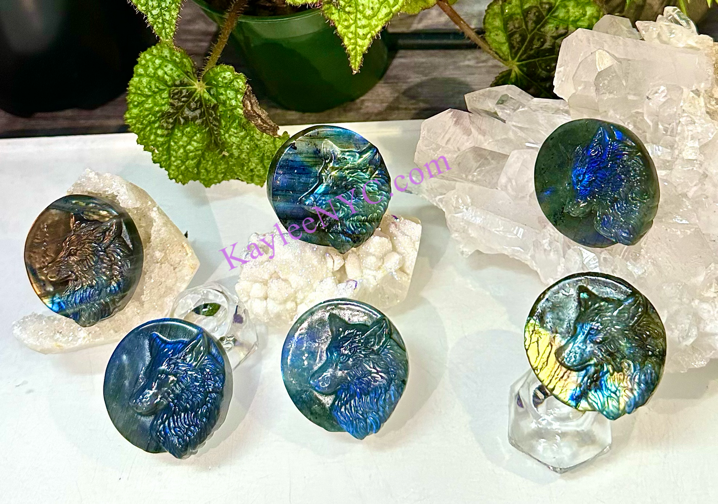 6 PCs Natural Labradorite Wolf