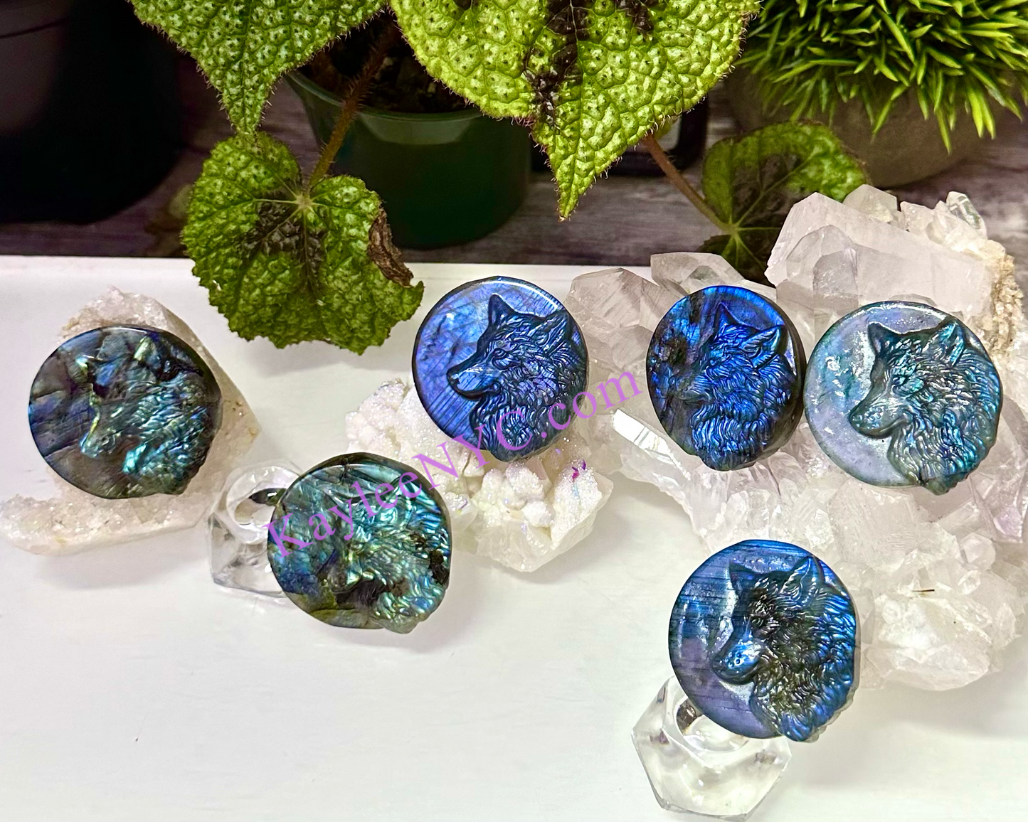 6 PCs Natural Labradorite Wolf