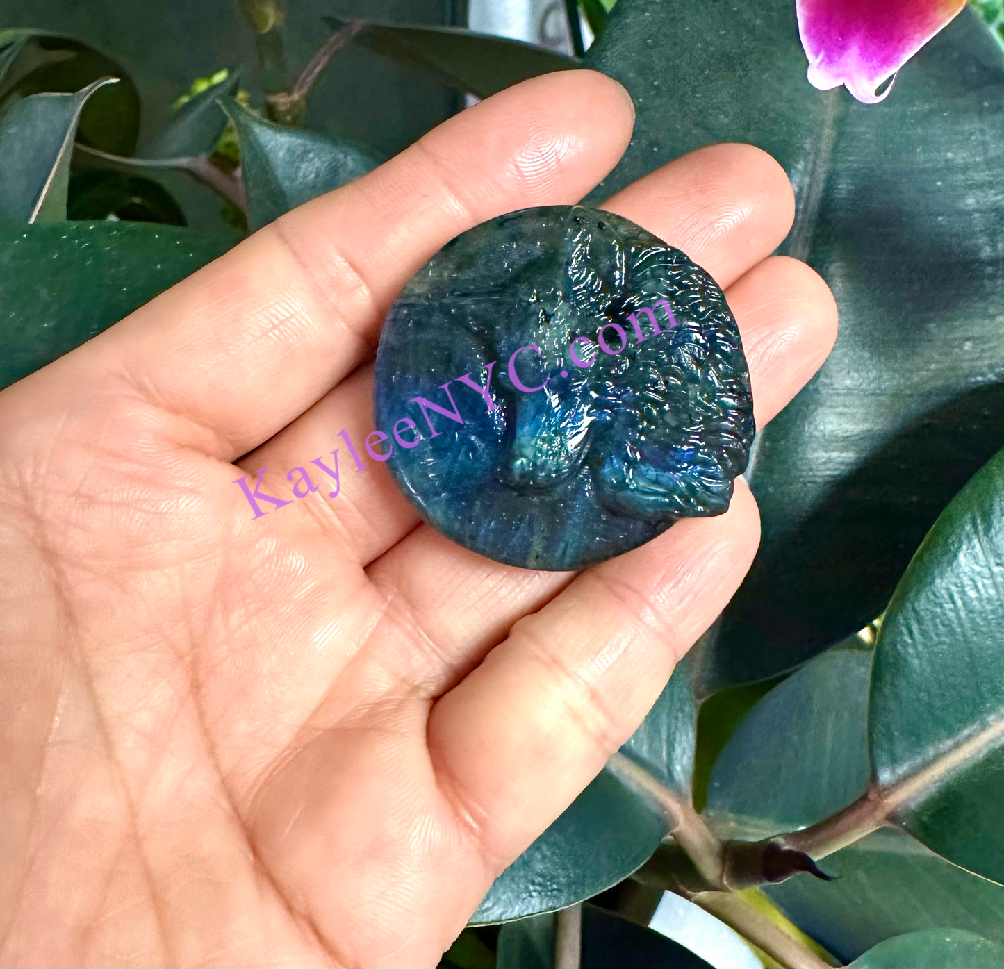 6 PCs Natural Labradorite Wolf