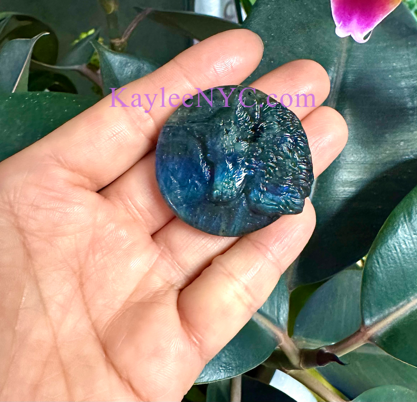 6 PCs Natural Labradorite Wolf