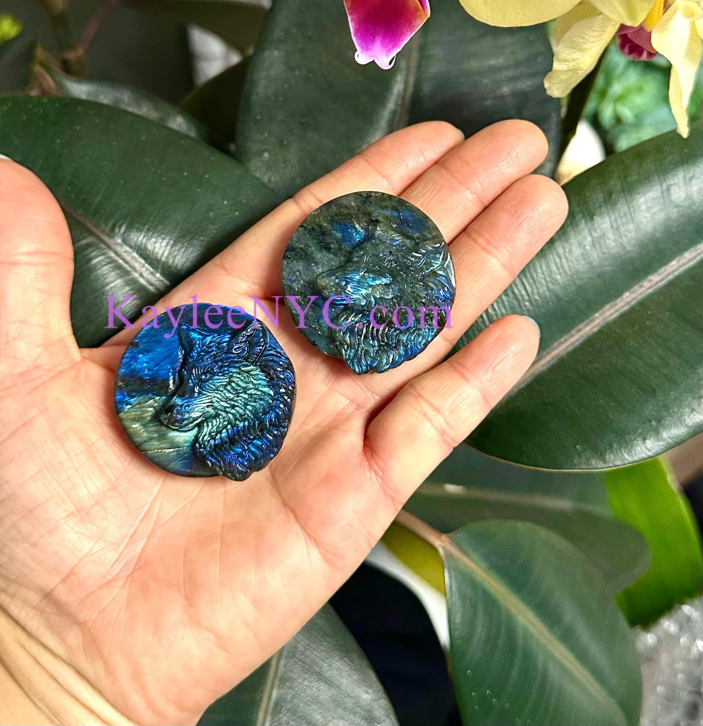 6 PCs Natural Labradorite Wolf