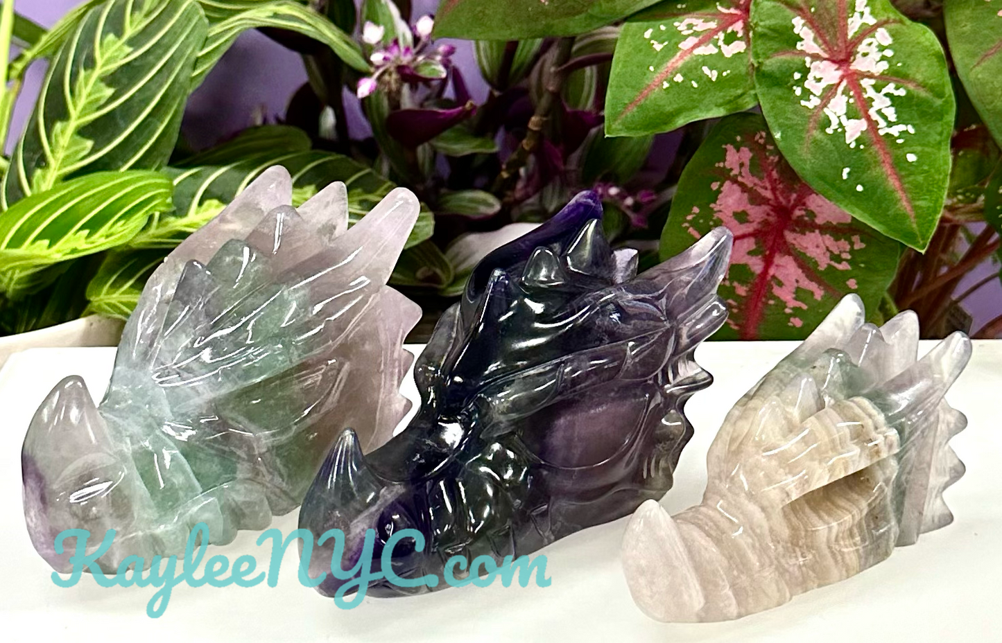 3 PCs Natural Fluorite Dragon Head