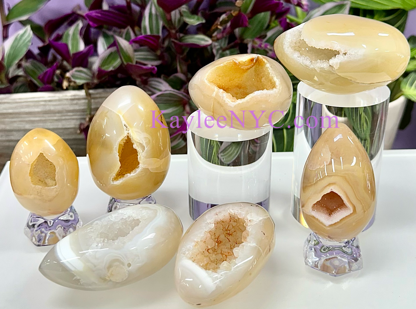 Wholesale Lot 7-8 PCs  Natural Druzy Agate crystals Egg healing energy