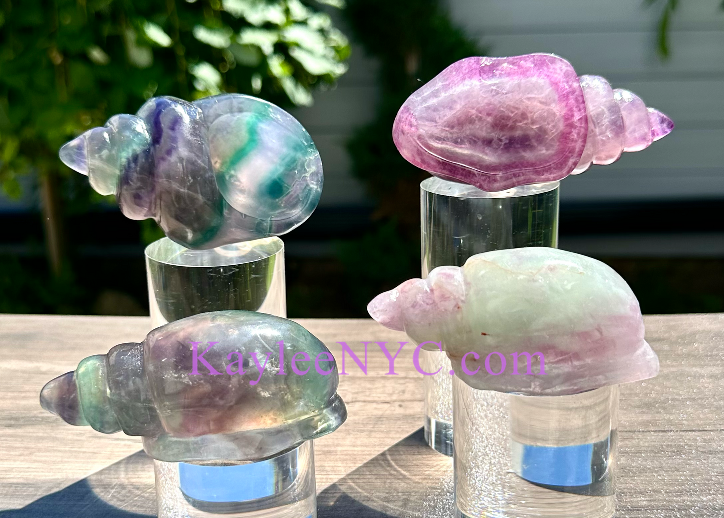 Wholesale Lot 4 Pcs Natural Fluorite Conch Crystal Healing Energy