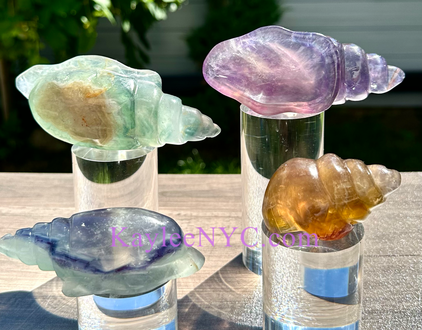 Wholesale Lot 4 Pcs Natural Fluorite Conch Crystal Healing Energy