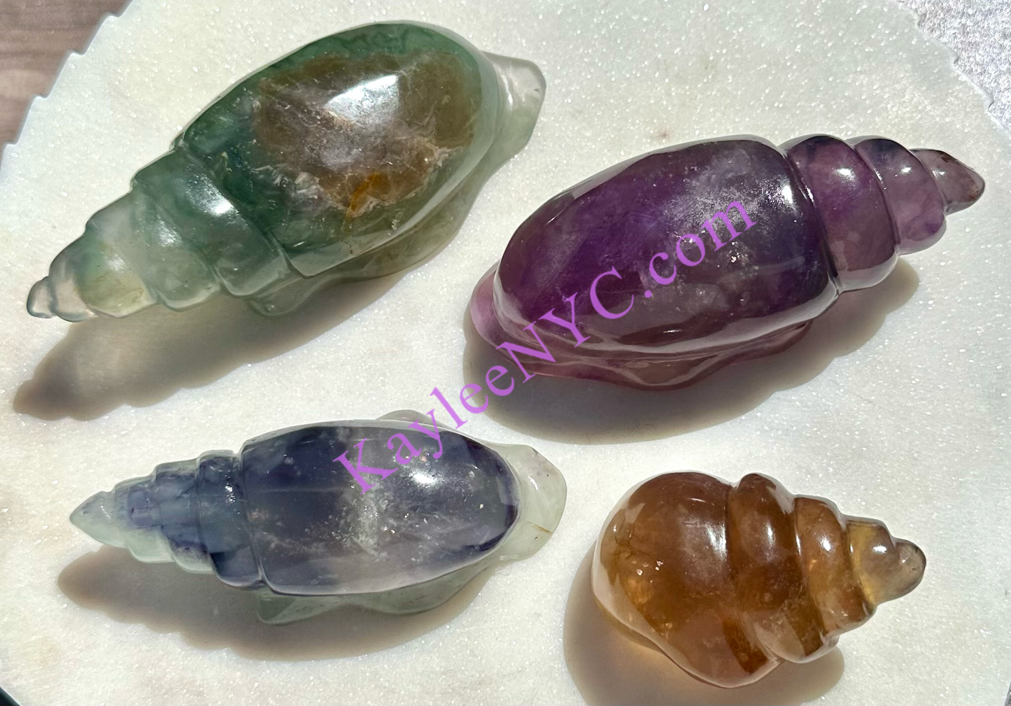 Wholesale Lot 4 Pcs Natural Fluorite Conch Crystal Healing Energy