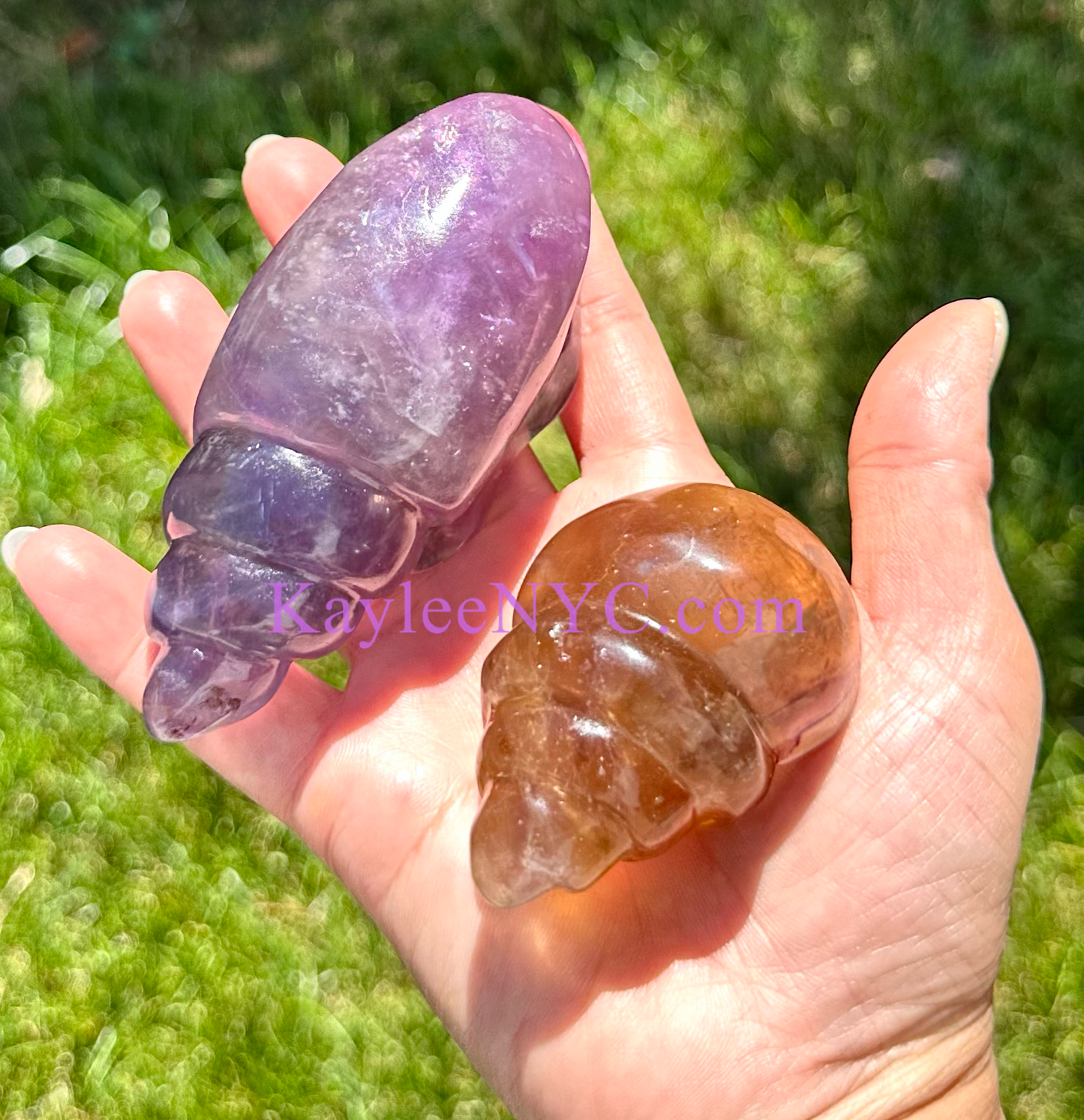 Wholesale Lot 4 Pcs Natural Fluorite Conch Crystal Healing Energy