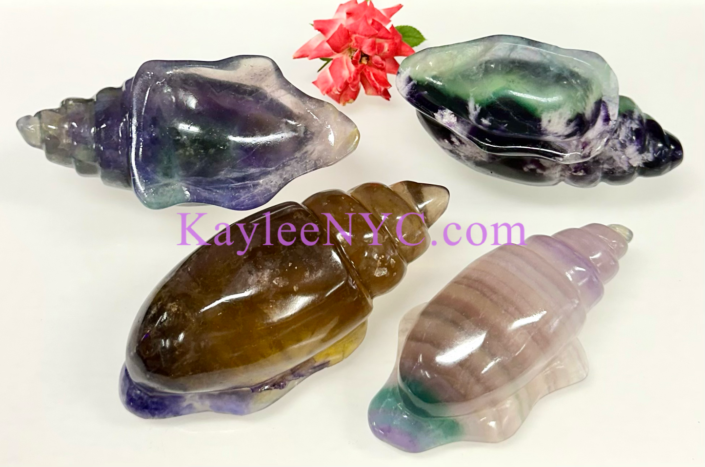 Wholesale Lot 4 Pcs Natural Fluorite Conch Crystal Healing Energy