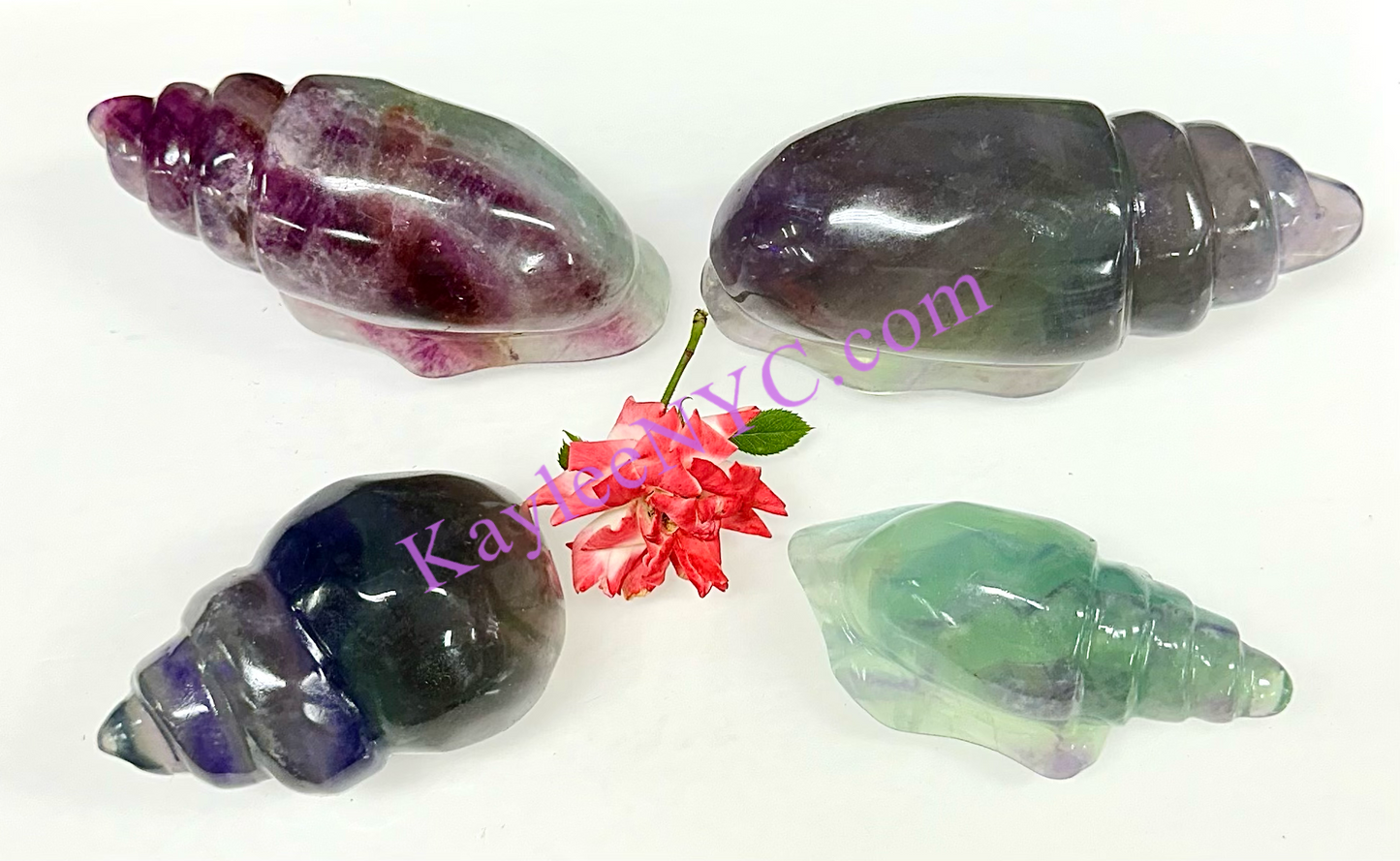 Wholesale Lot 4 Pcs Natural Fluorite Conch Crystal Healing Energy