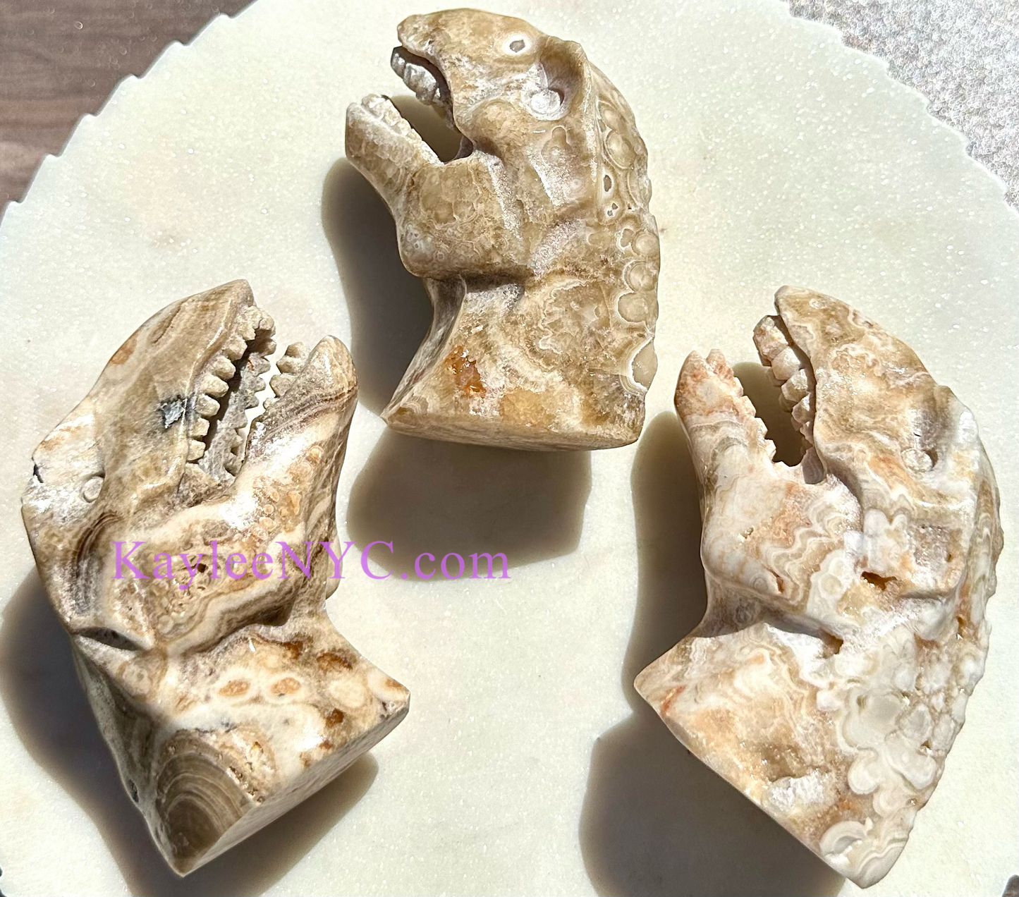 3 PCs Natural Amber Flower Jasper Dinosaur