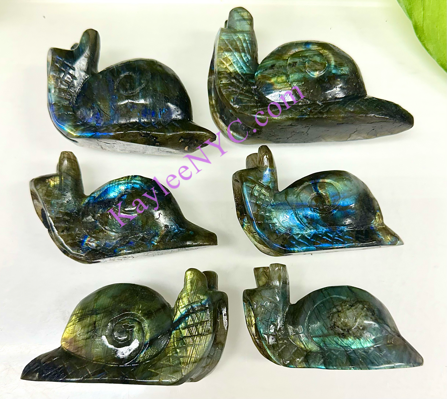 6 PCs Natural Labradorite Snails