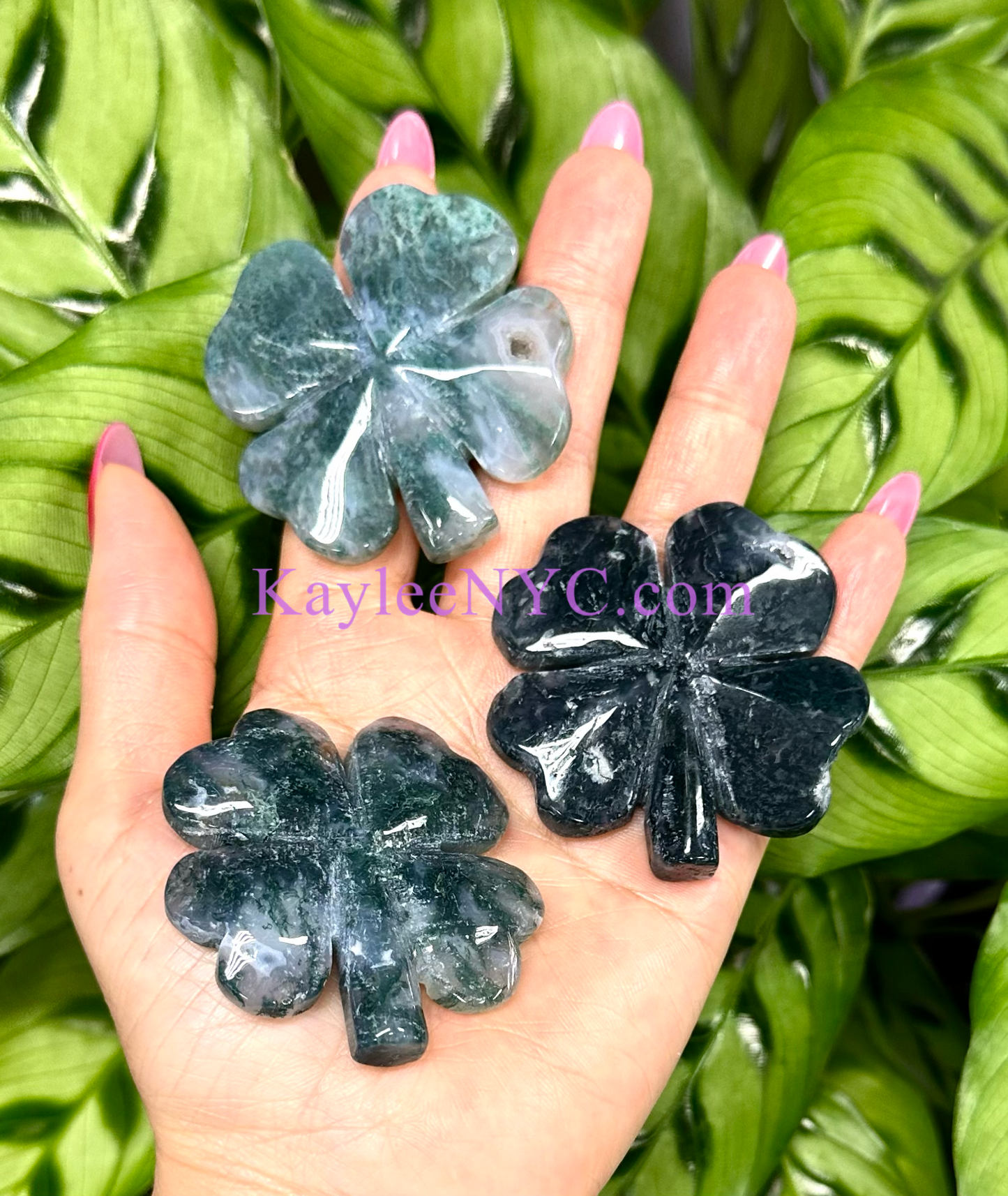 8 PCs 2” Natural Moss Agate 4 Leaf Clove