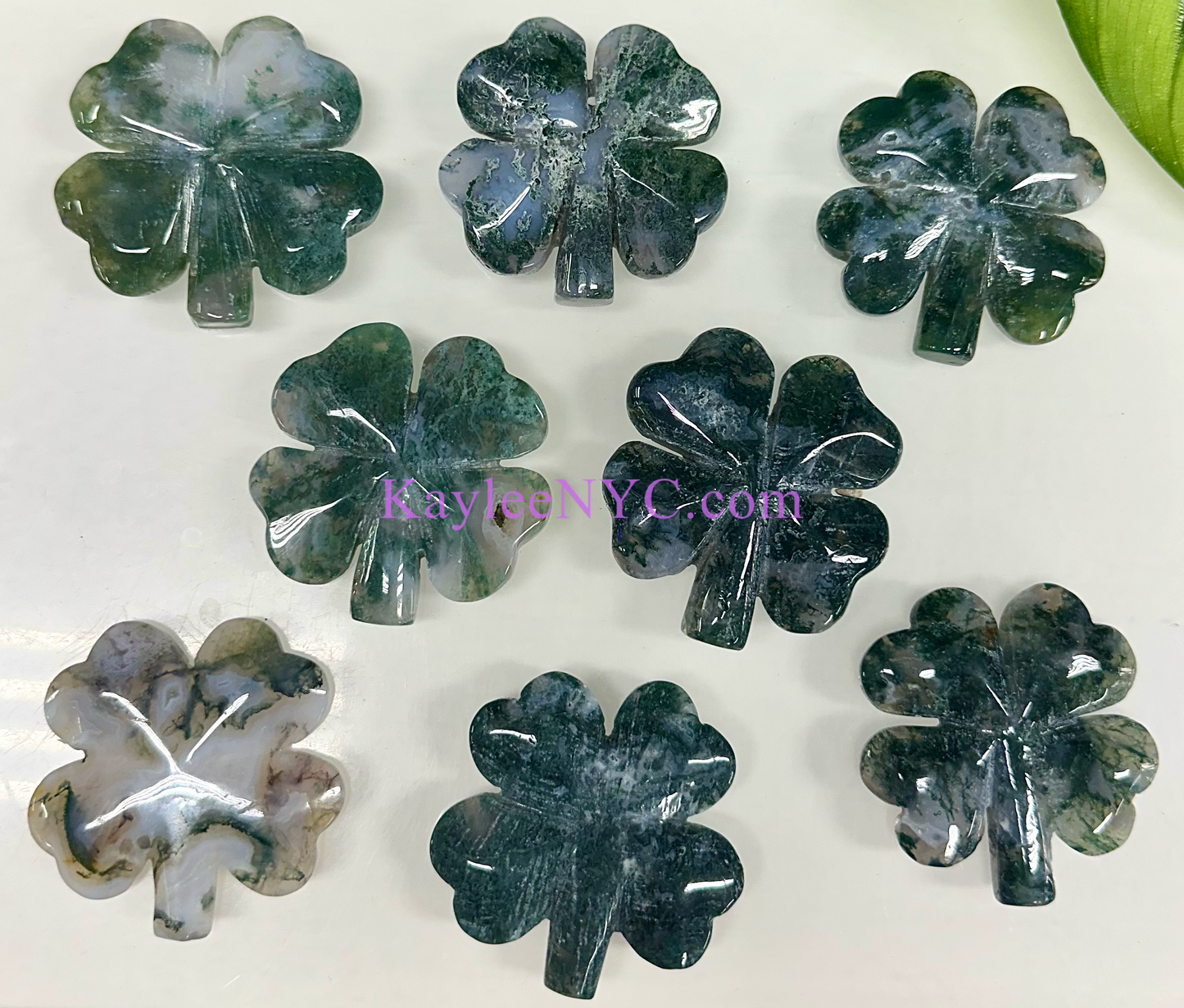 8 PCs 2” Natural Moss Agate 4 Leaf Clove