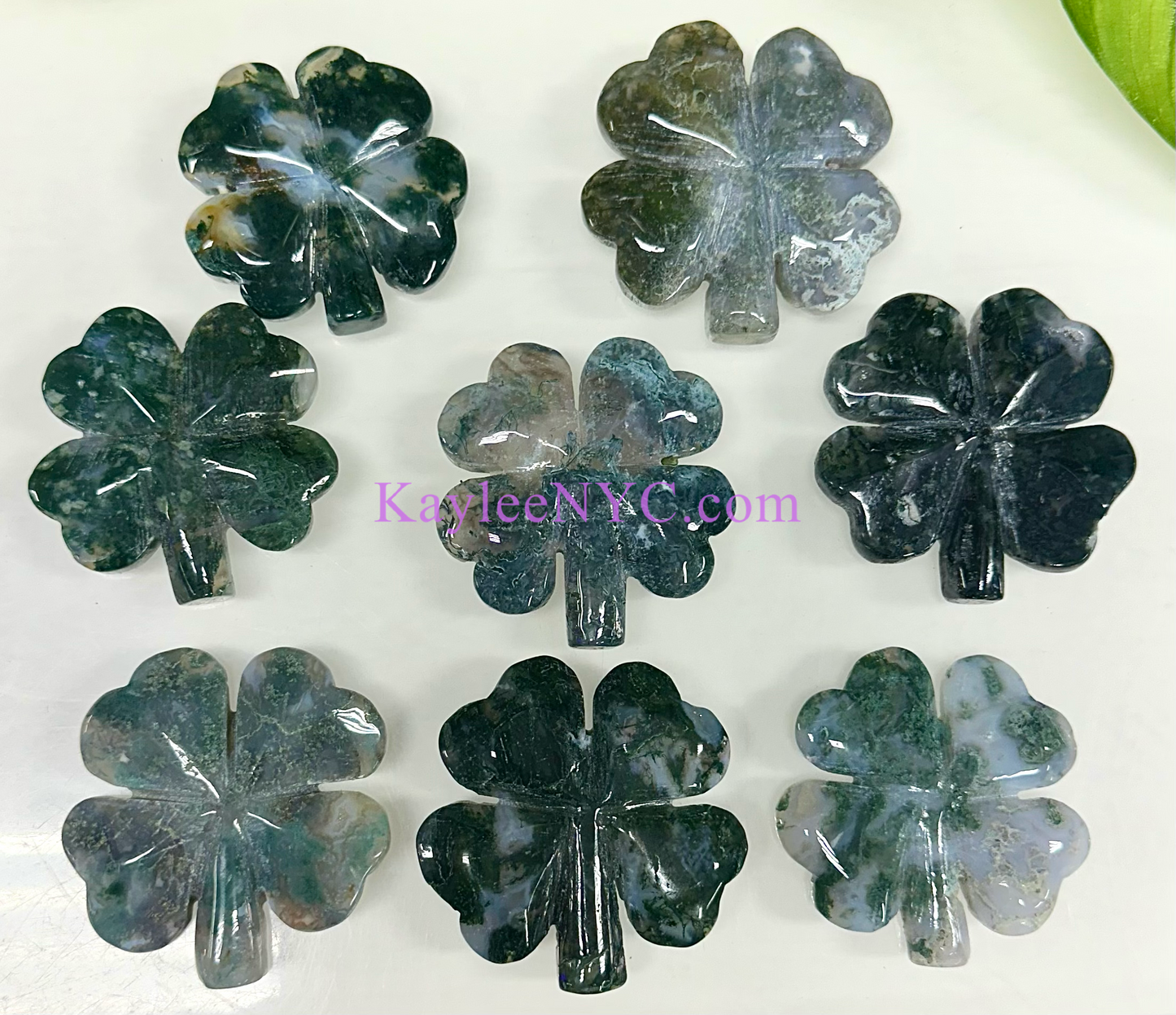 8 PCs 2” Natural Moss Agate 4 Leaf Clove