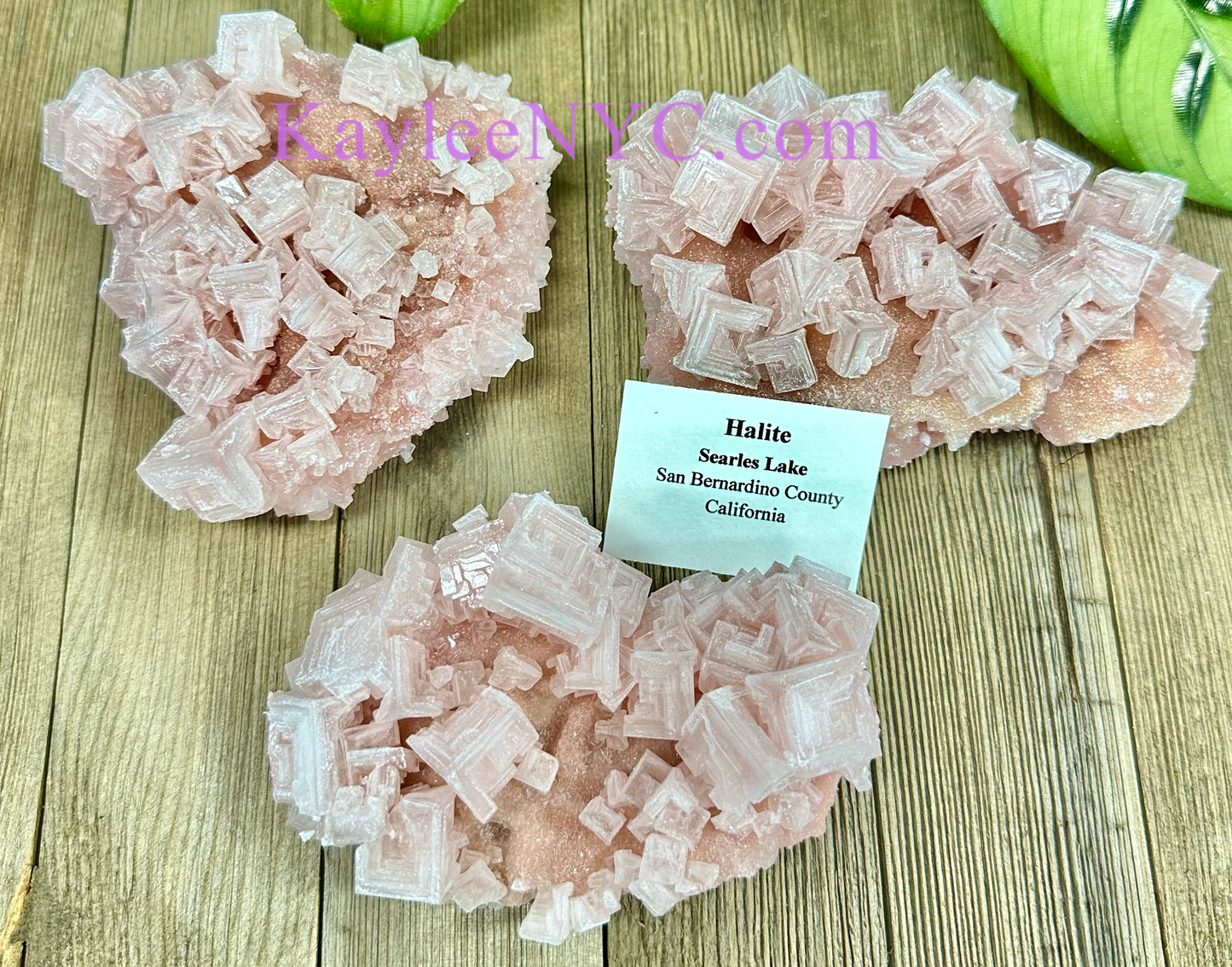 3 PCs Natural Pink Halite Specimen Crystal Raw