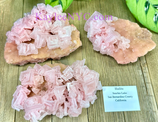 3 PCs Natural Pink Halite Specimen Crystal Raw