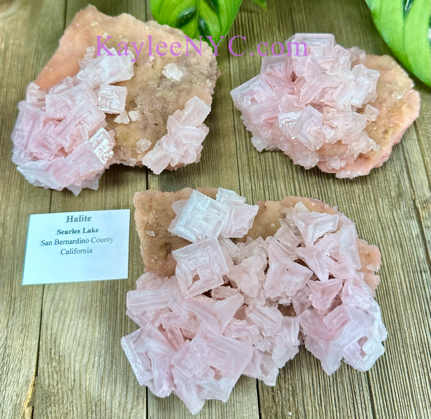 3 PCs Natural Pink Halite Specimen Crystal Raw