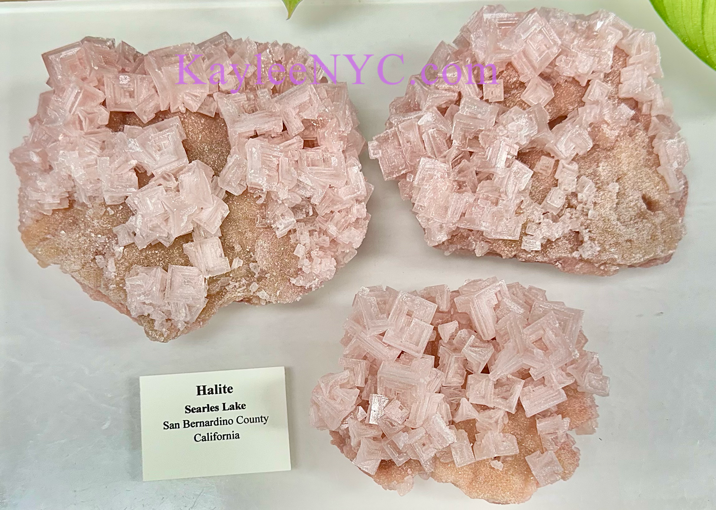 3 PCs Natural Pink Halite Specimen Crystal Raw