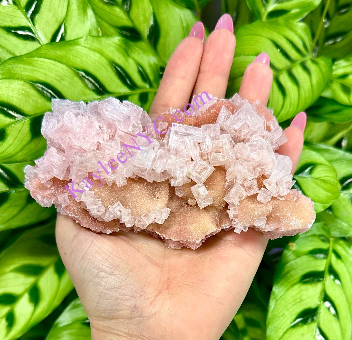 3 PCs Natural Pink Halite Specimen Crystal Raw