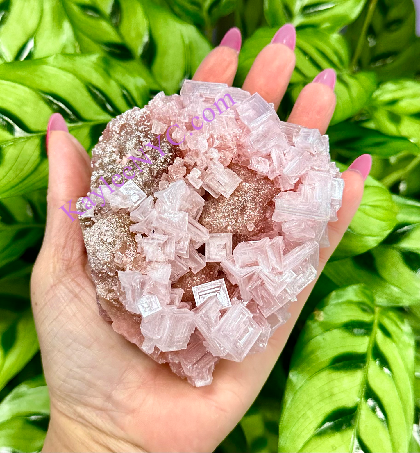 3 PCs Natural Pink Halite Specimen Crystal Raw