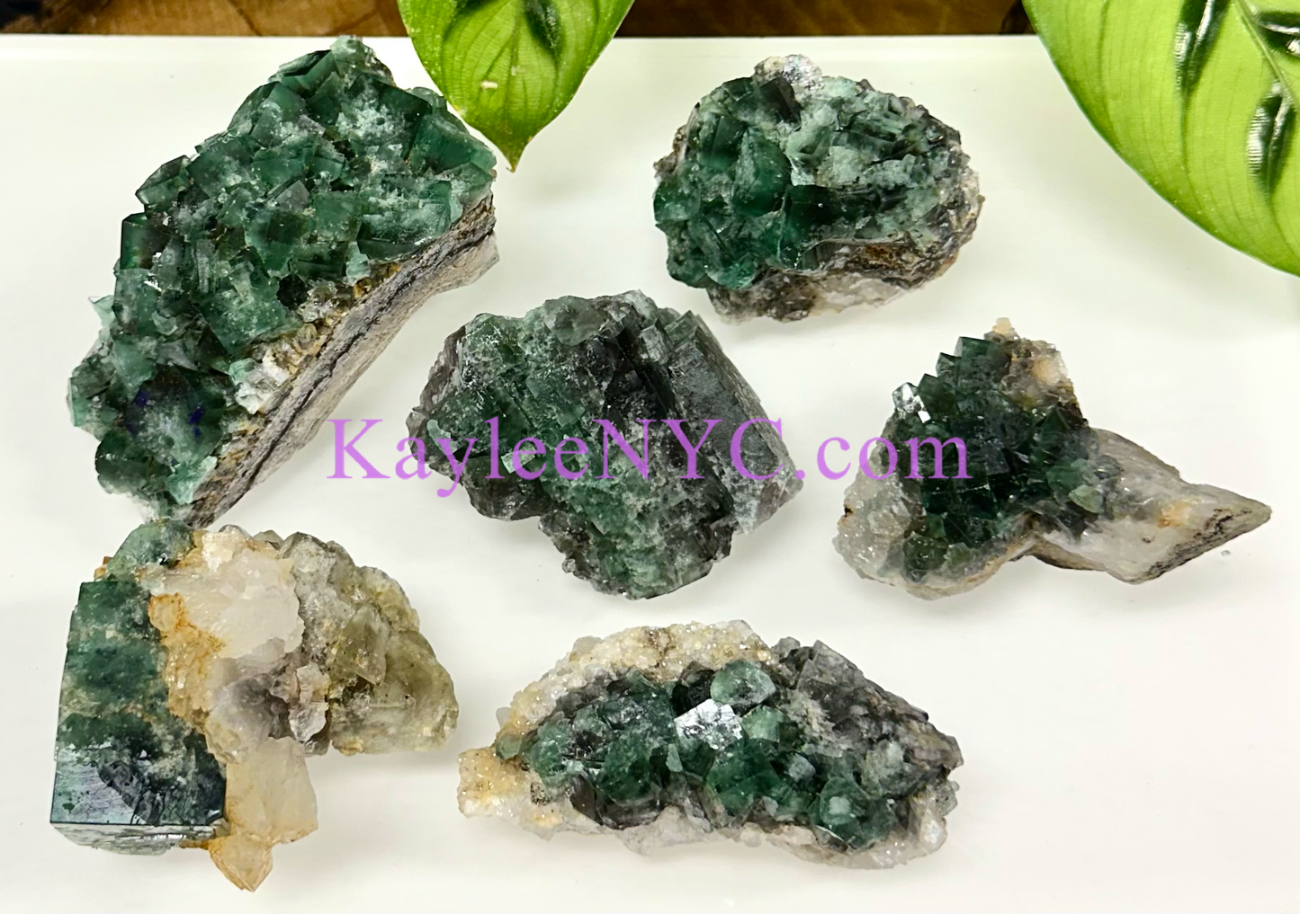 6 PCs Natural Diana Maria Fluorite Specimen Crystal Raw