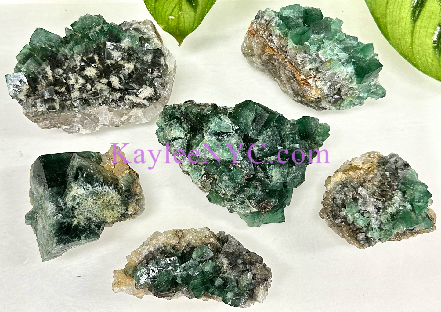 6 PCs Natural Diana Maria Fluorite Specimen Crystal Raw