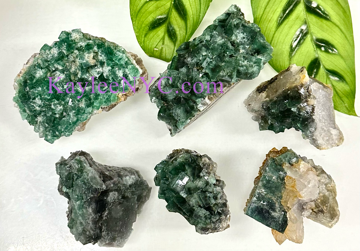 6 PCs Natural Diana Maria Fluorite Specimen Crystal Raw