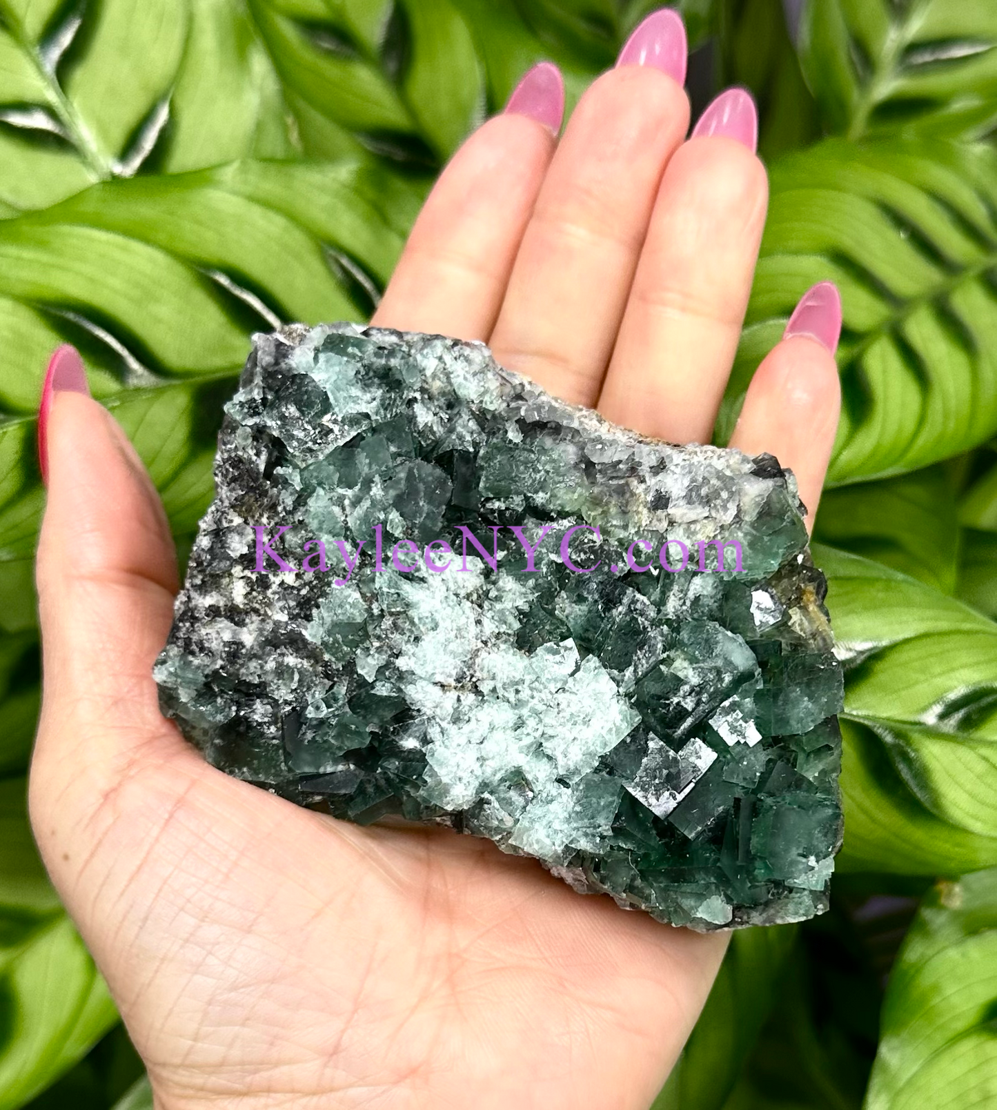 6 PCs Natural Diana Maria Fluorite Specimen Crystal Raw