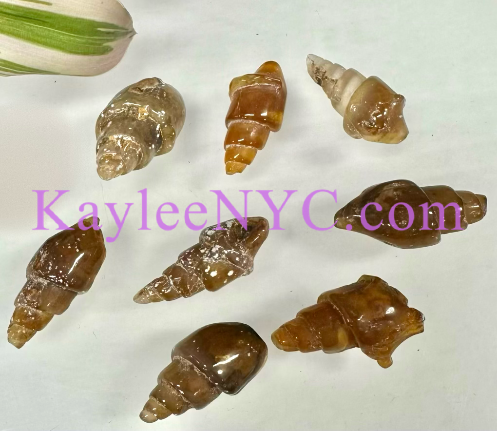 Wholesale Lot 8 PCs Natural Agate Shell Crystal Healing Energy