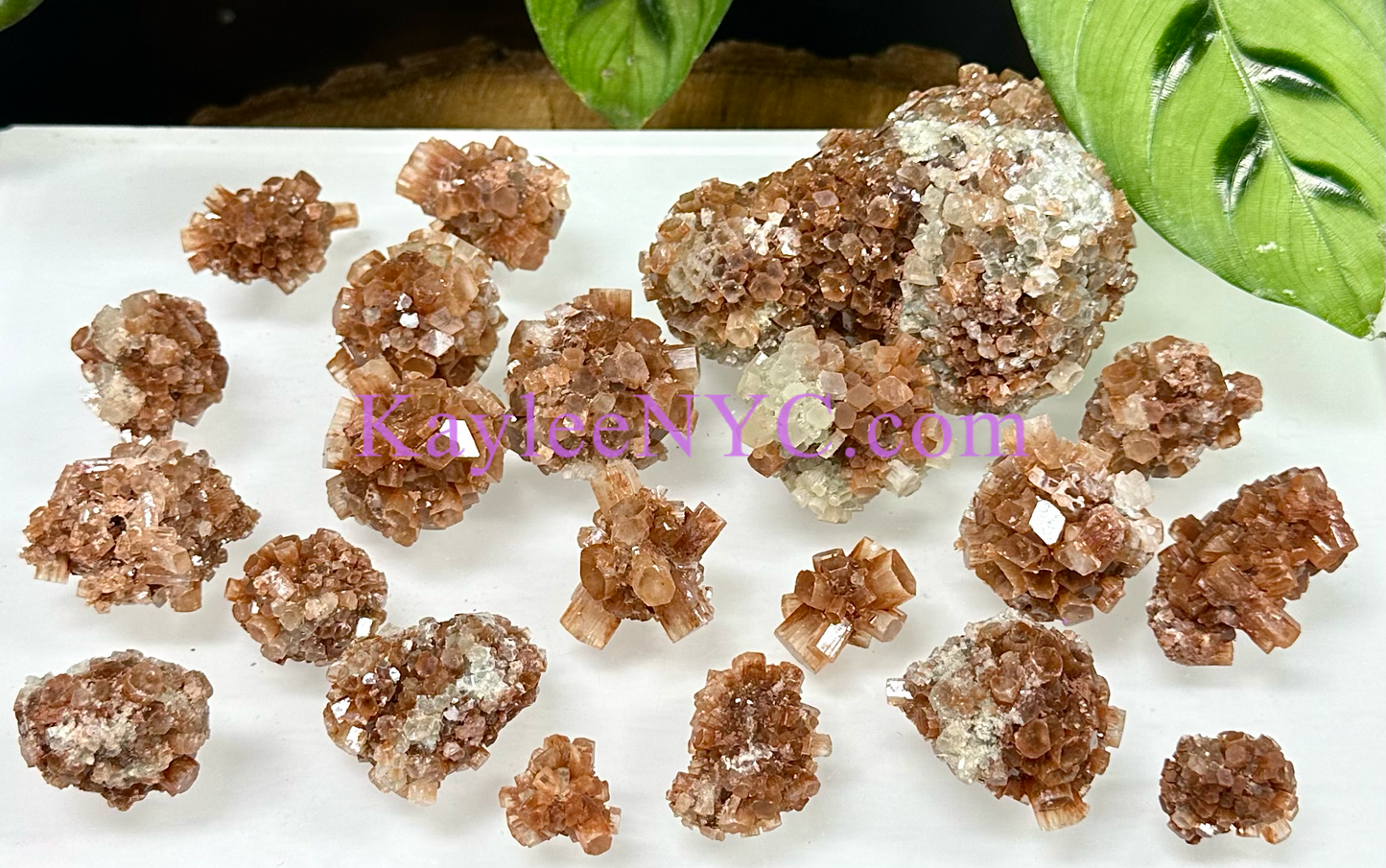 Wholesale Lot 2 lb Natural Aragonite Cluster Raw Crystal