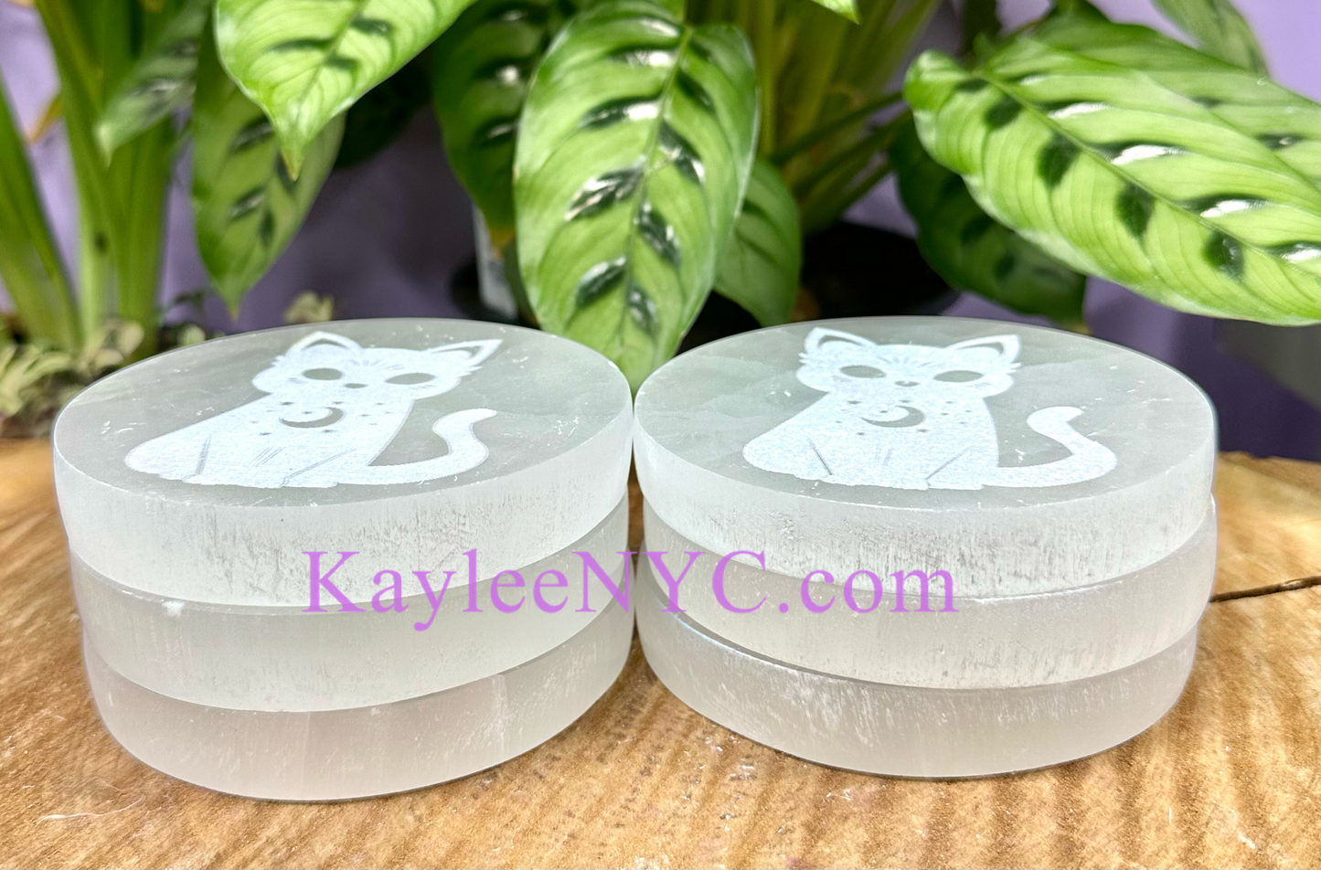 Wholesale Lot 6 pcs Natural Selenite aka Satin Spar Cat Charging Plate Crystal Healing Energy