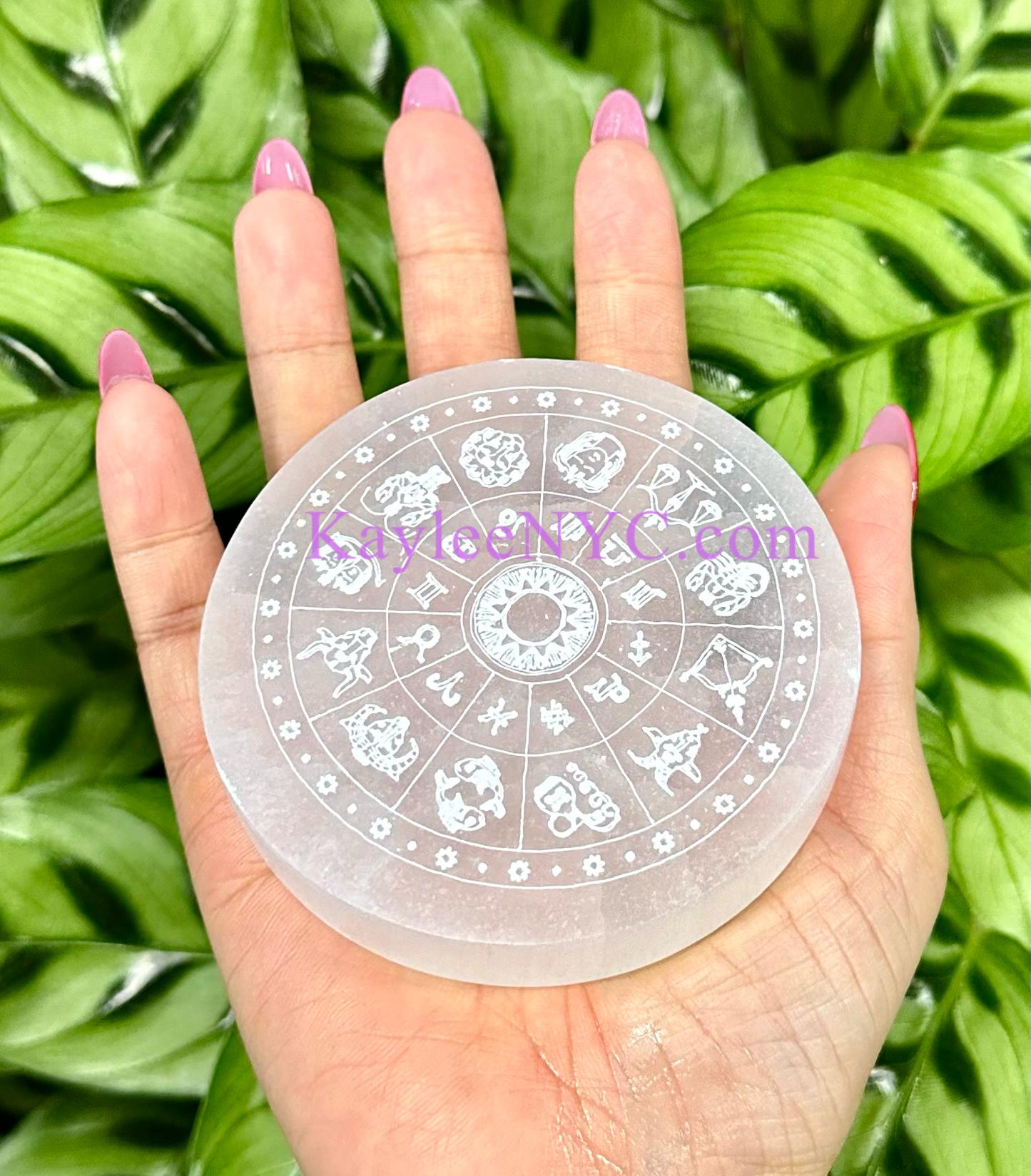 Wholesale Lot 9 pcs Natural Selenite aka Satin Spar Zodiac Charging Plate Crystal