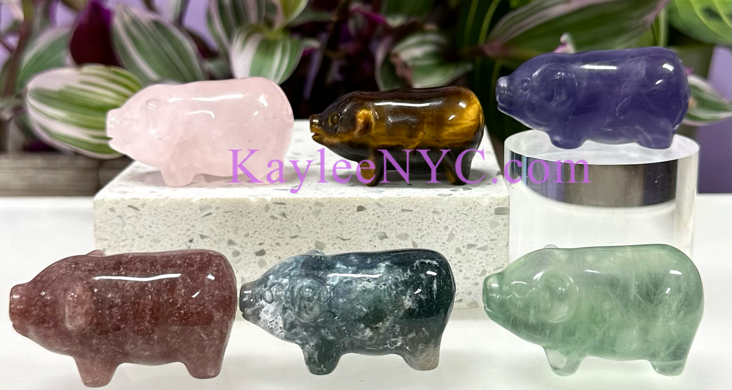 6 PCs 2” Natural Mix Crystals Pigs Healing Energy