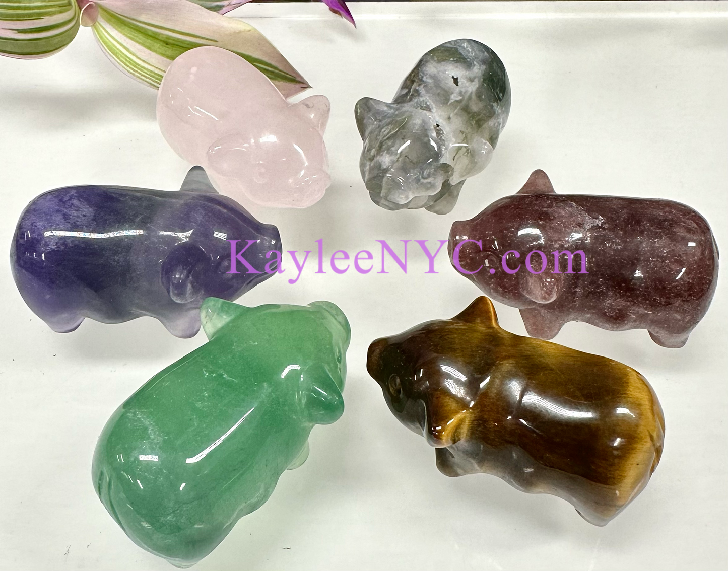 6 PCs 2” Natural Mix Crystals Pigs Healing Energy